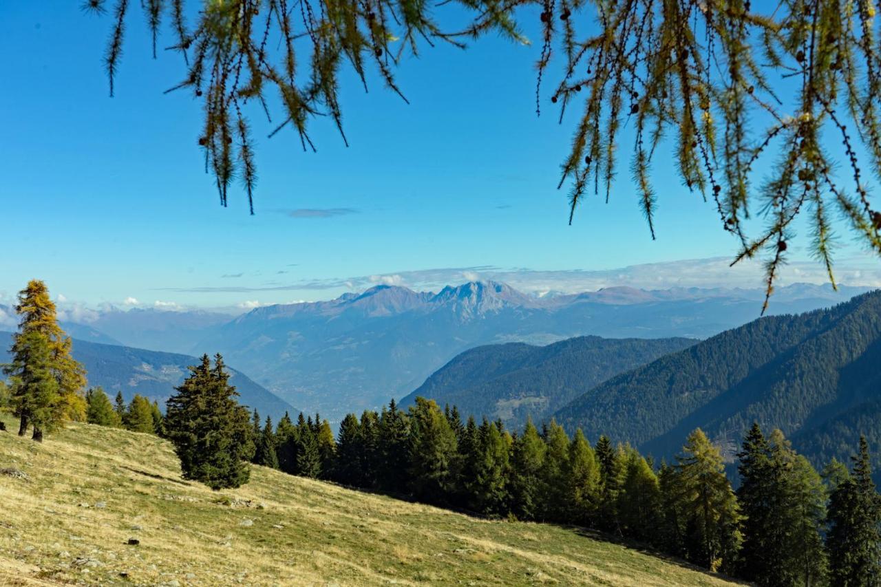 Hotel Alpenhof Ultimo Εξωτερικό φωτογραφία